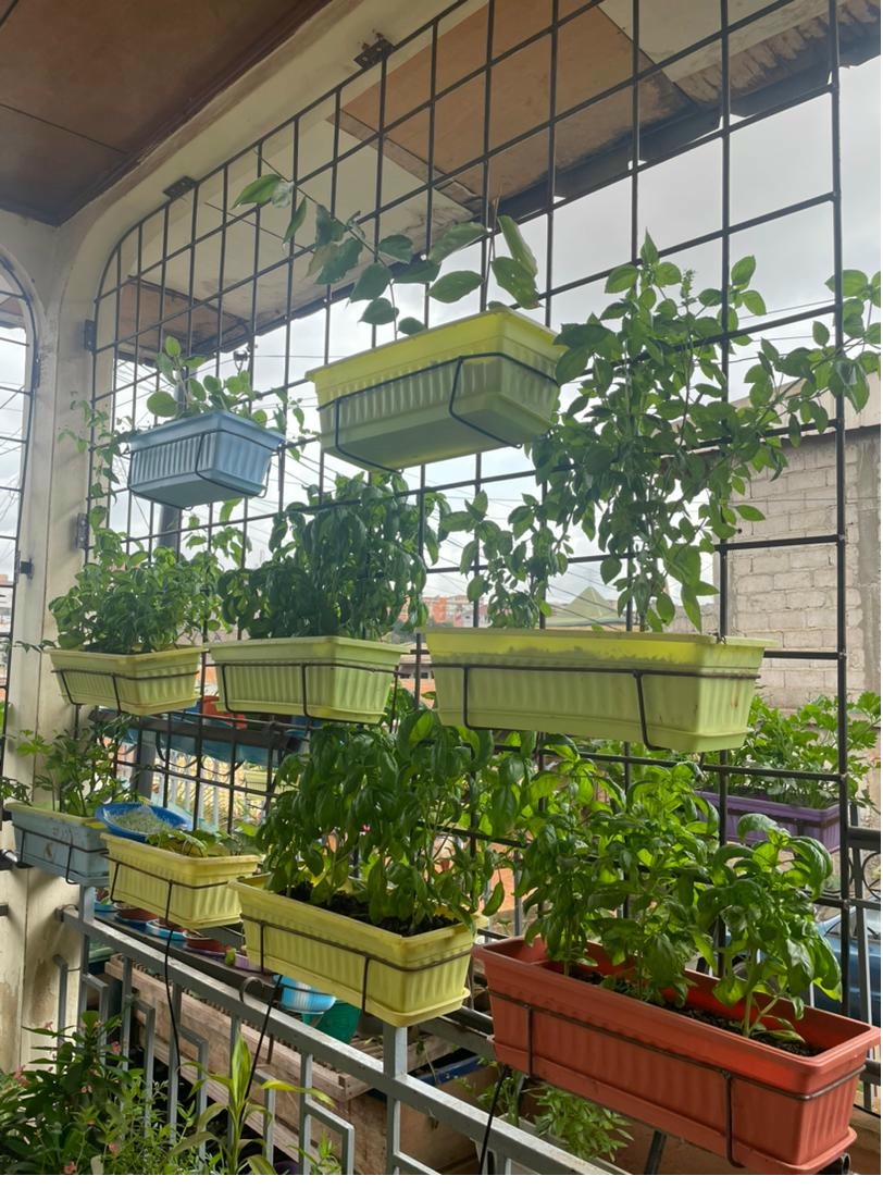 Jardin urbain balcon Yaoundé